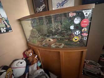 Reptile tank with cabinet