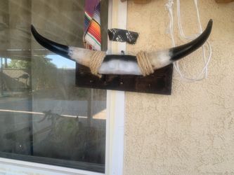 Bull Horns