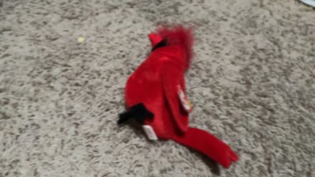 Rare collector beanie baby