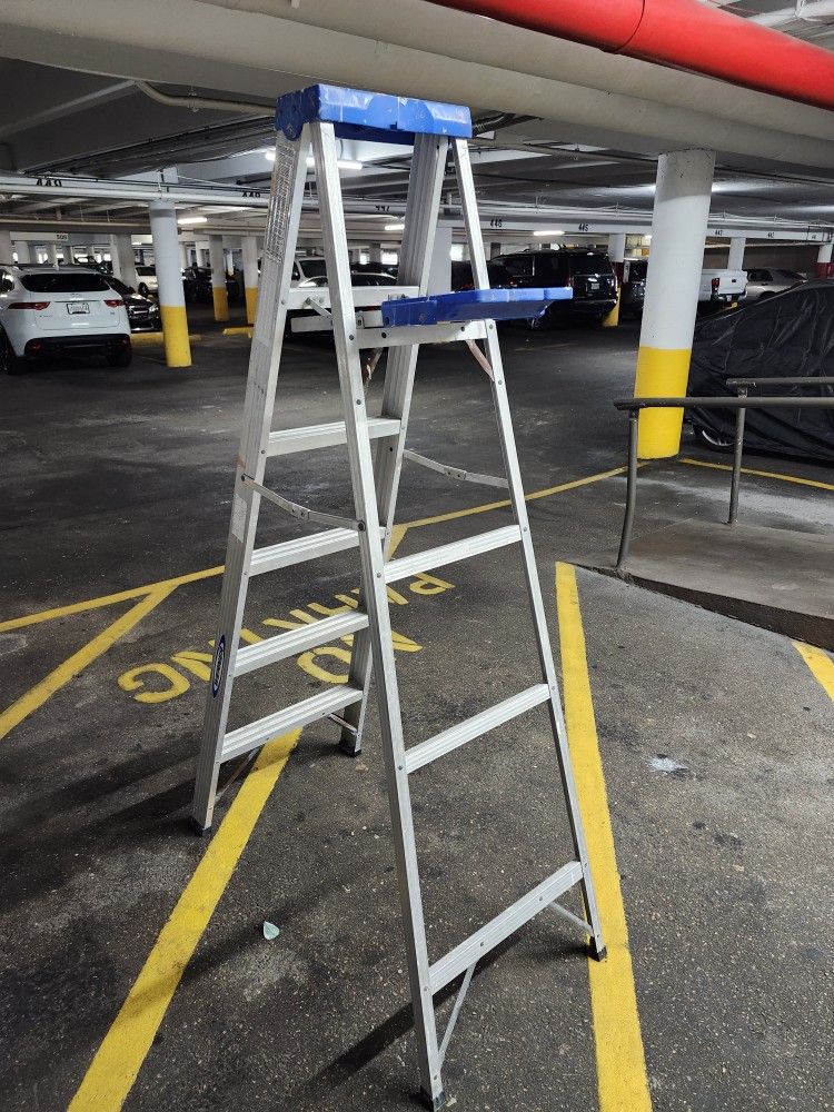 Aluminum Ladder