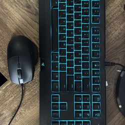 Razer keyboard and mouse