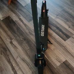 Go Trax Electric Scooter 