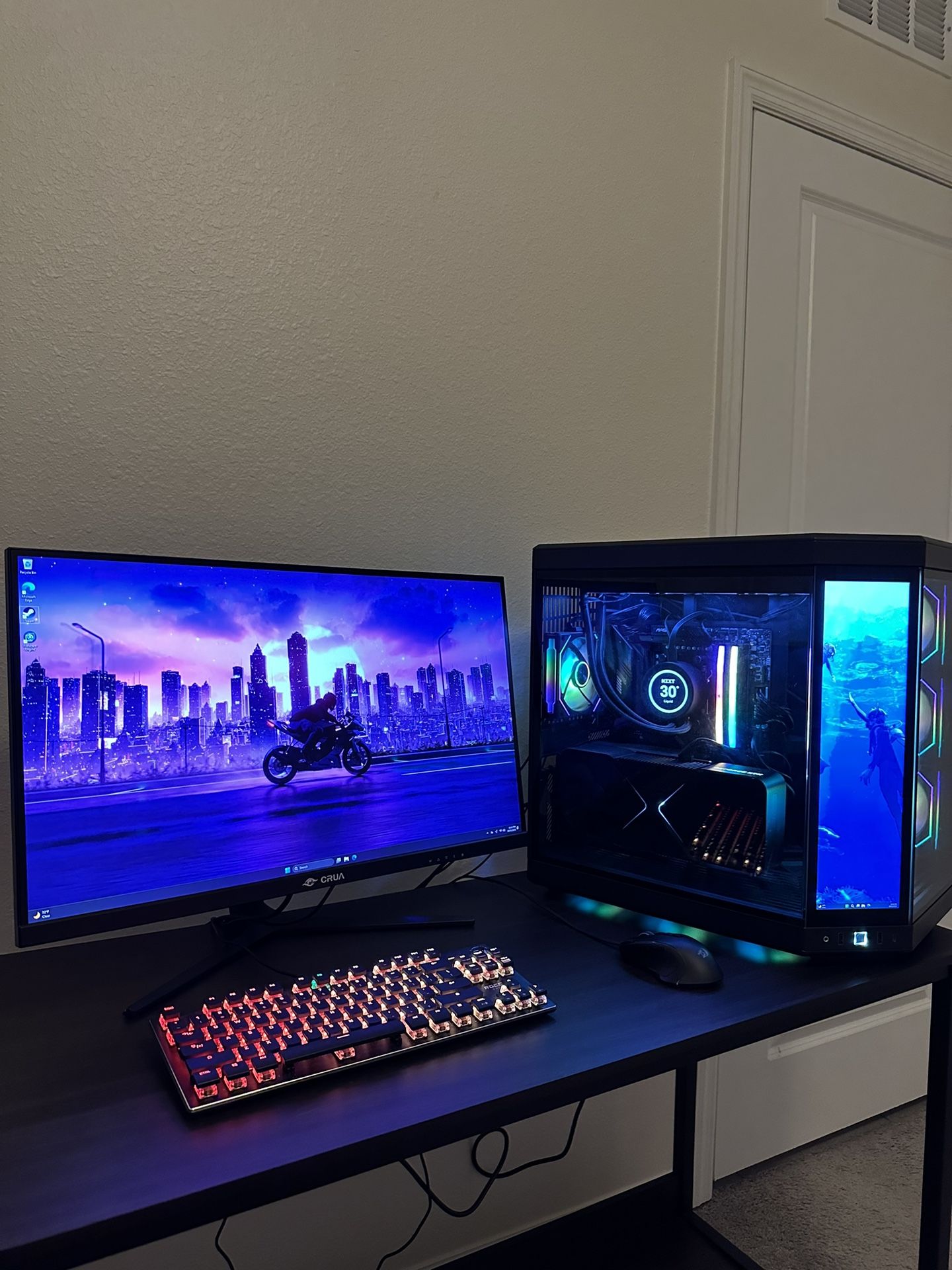 Beast Gaming Setup