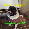TwinkiezHotSales!!(FinalSales)