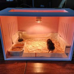 brooder box with heat lamp chicken duck reptile