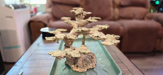 Bonsai rock scape for slatwater tank