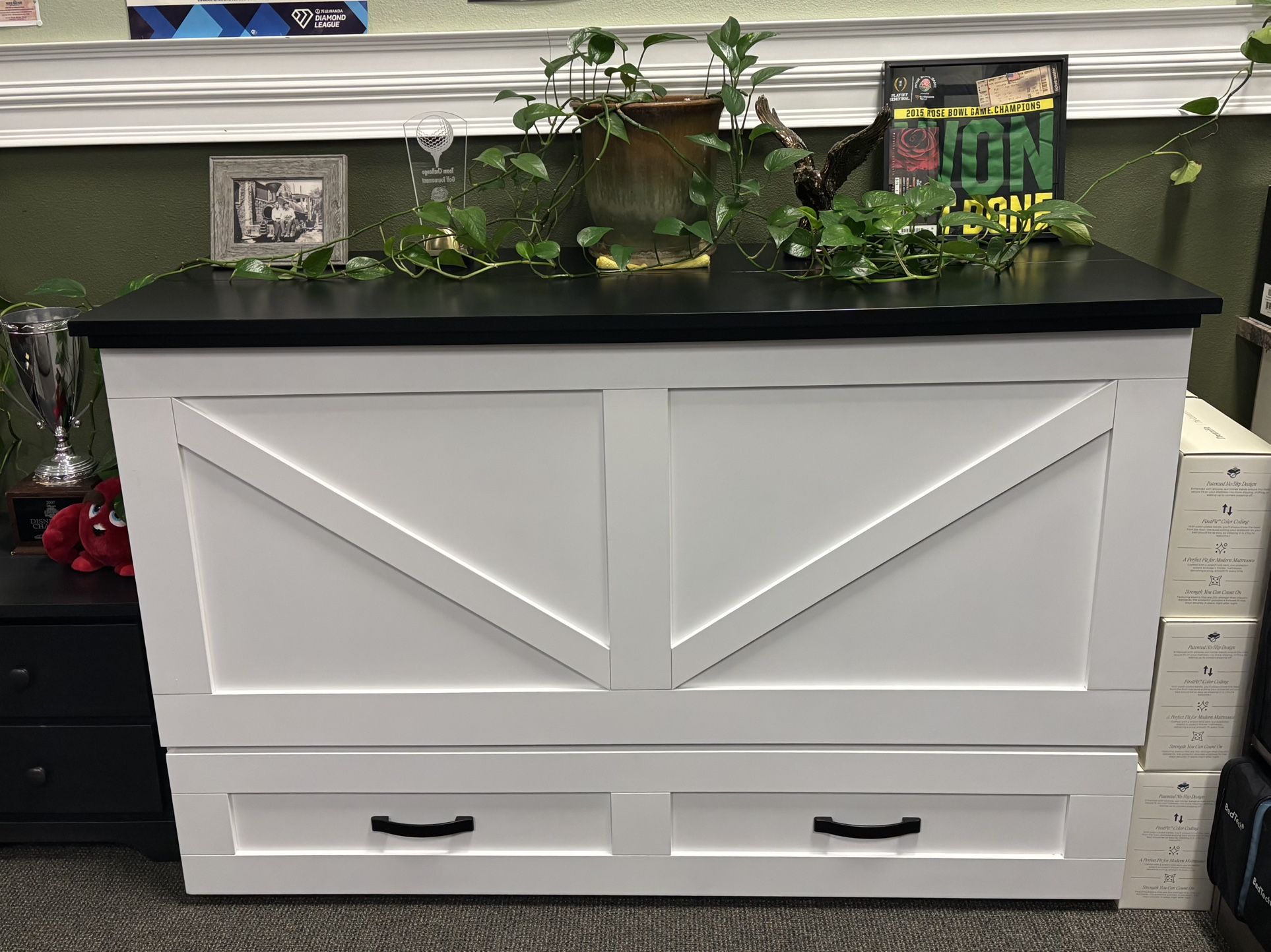 Cabinet Bed! Eugene Mattress Company