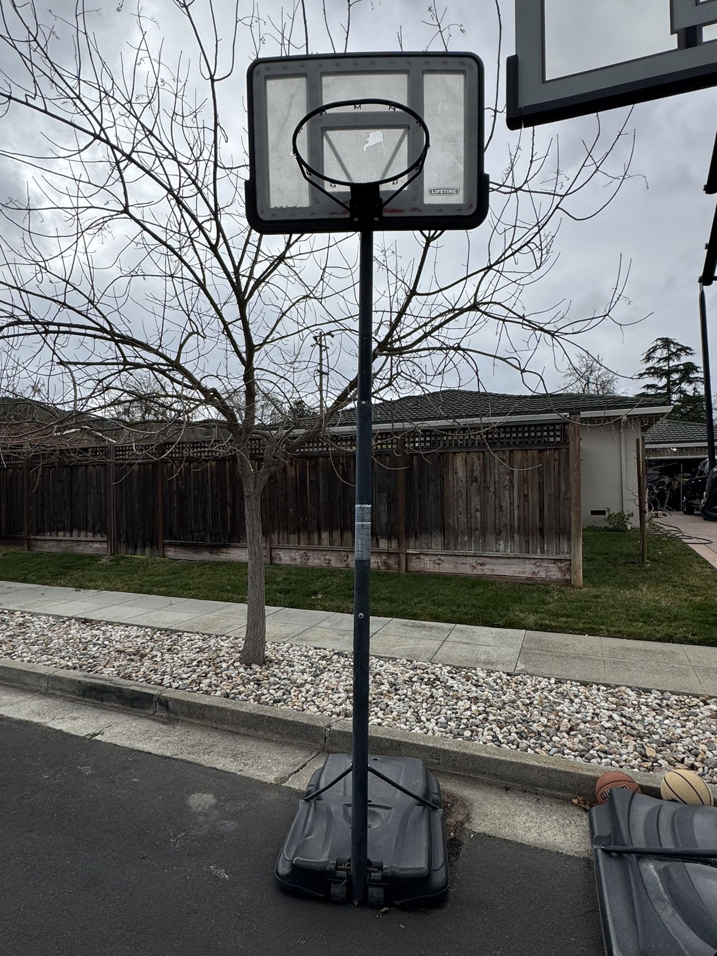Lifetime Basketball Hoop