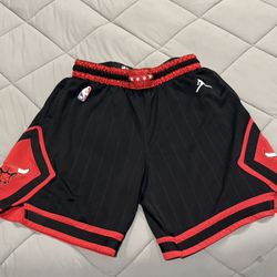 Jordan Chicago Bulls Statement Edition Shorts Size 38/XL