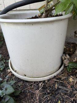 Large Pot