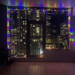 $10 - 100 LED String Lights