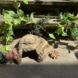 Reptile Hide And Plants
