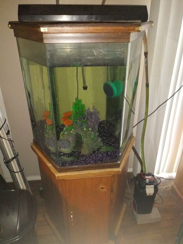 60 GALLON HEXAGON AQUARIUM for Sale in Las Vegas, NV - OfferUp