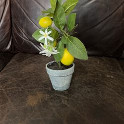 Lemon Home decor 