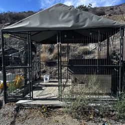 Cages & Dog Houses 