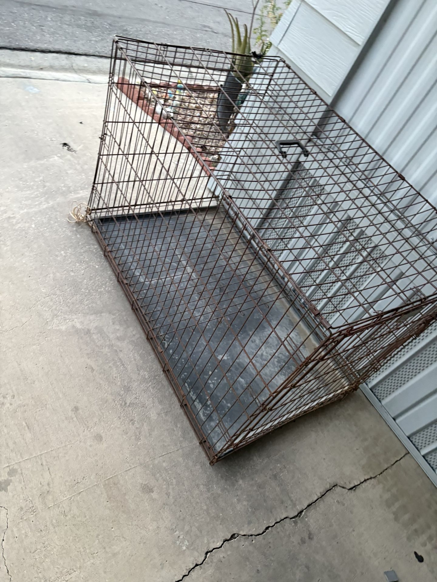 Big Dog Kennel