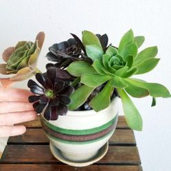  Ceramic Pot/ built-in saucer Pottery