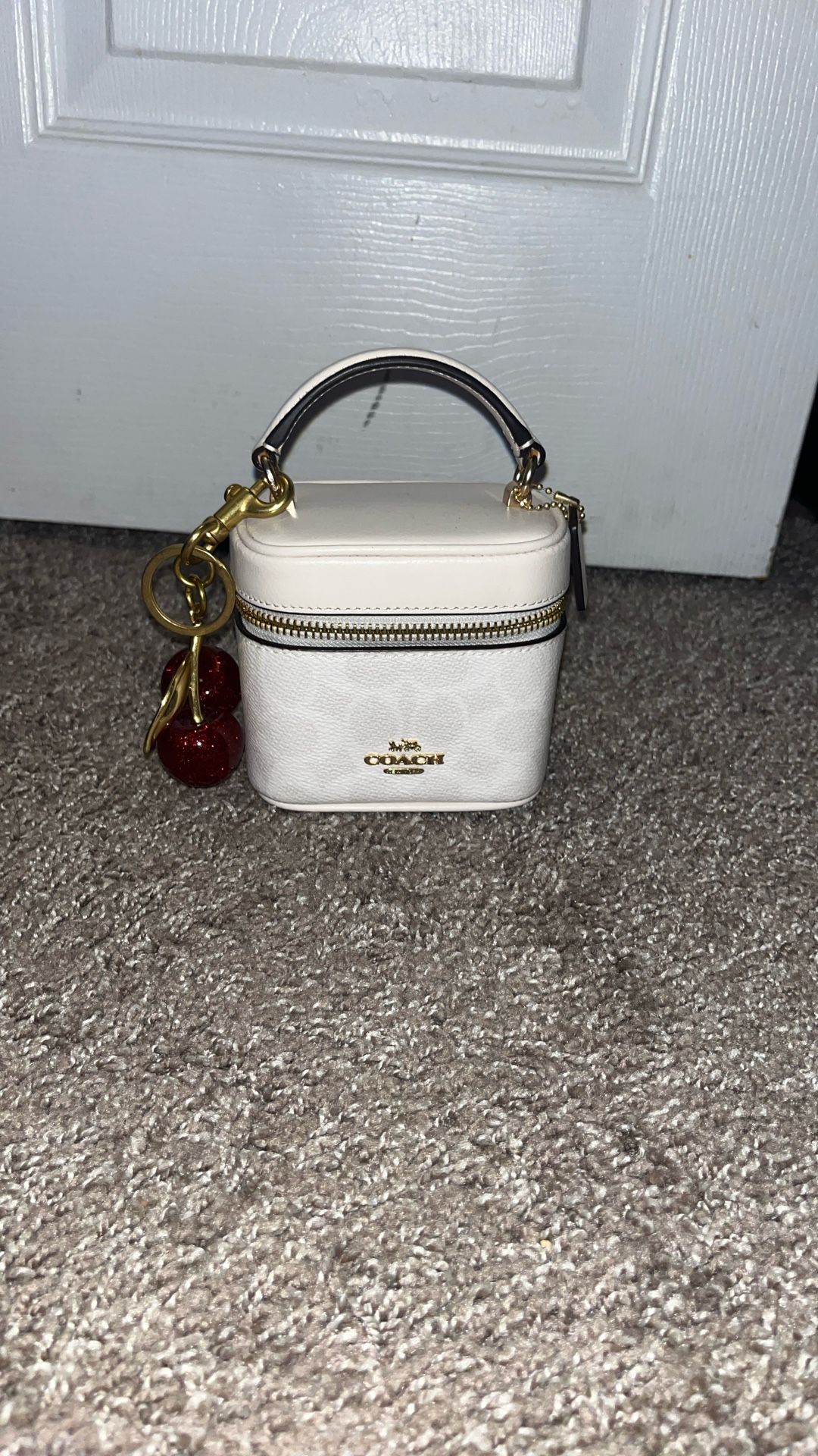 Coach Vanity Purse