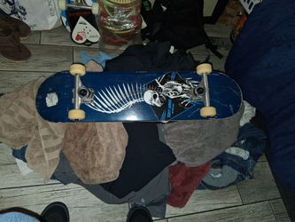 Birdhouse Tony hawk blue