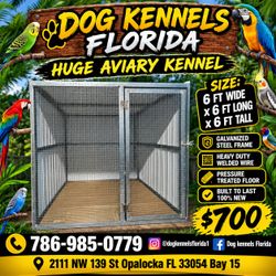 Huge Aviary Kennel 6x6x6 ft Galvanized Steel