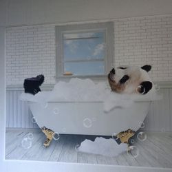 Modern Funny Relaxing Panda Soaking In The Tub Canvas Poster Wall Aesthetic Gift