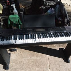 !! Casio Musical Keyboard 2 Keys Stick Firm Price Middle Keys