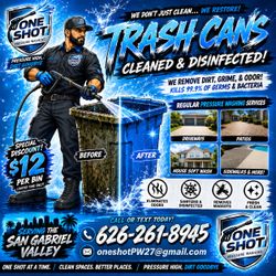 Trash Can cleaning