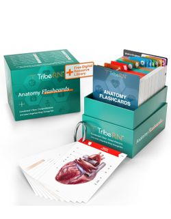 Tribe RN Anatomy Flashcards
