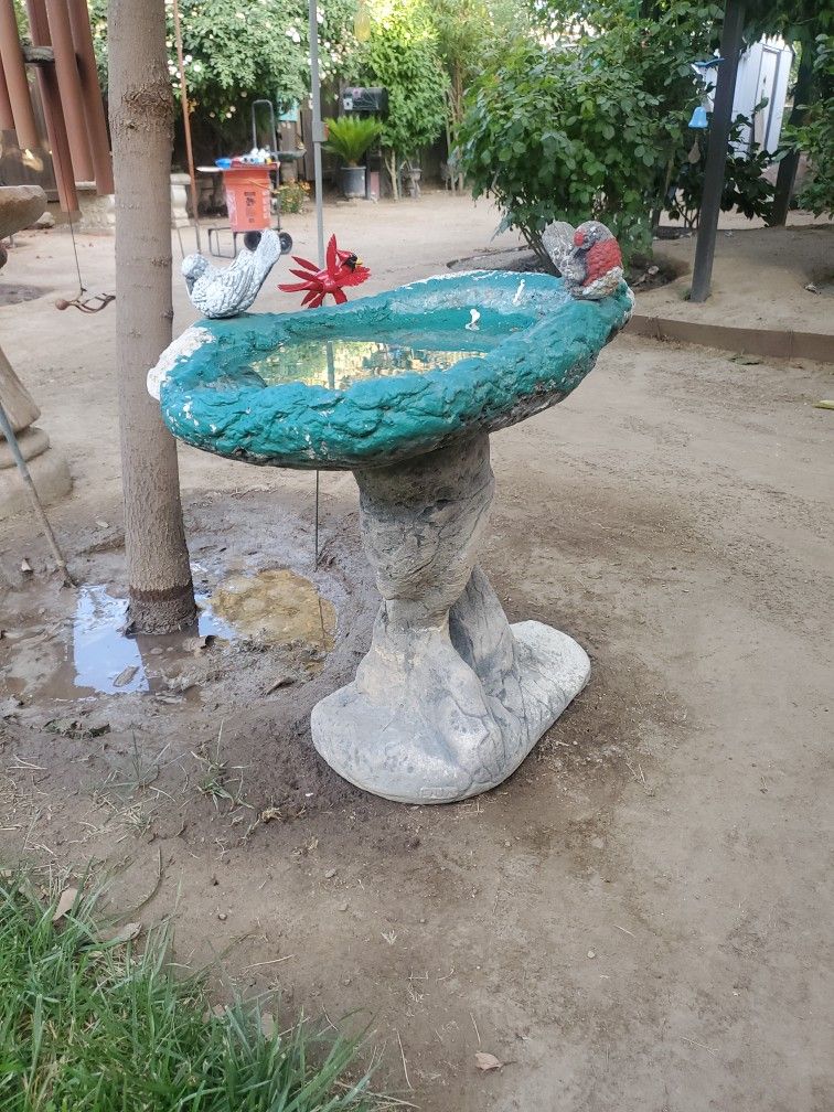 (2) Bird Baths
