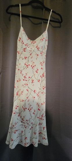 Express Spring Dress