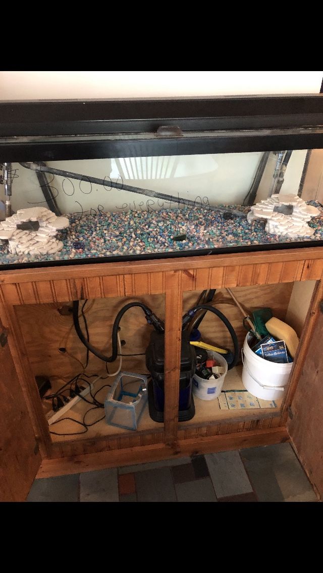 50 gallon fish tank with custom build cabinet