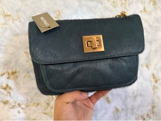 Chicos bag