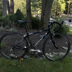 Women’s Giant Road Bike 