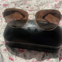 Coach Sunglasses