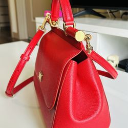Dolce Gabana Bag+strip(athentic)