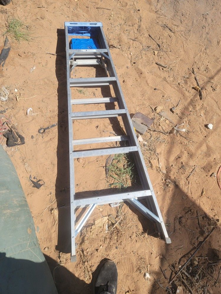 Werner 6foot ladder-