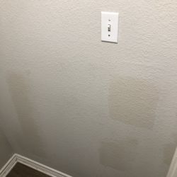 Experienced Painter Near You ‼️