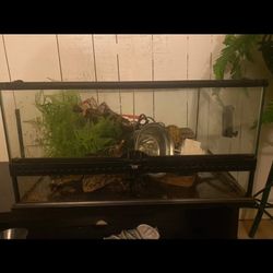 Reptile Kit — Terrarium With All Necessary Accessories, Put Together For A Ball Python (the Only Thing Missing Is The Screen On The Top) Worth $250