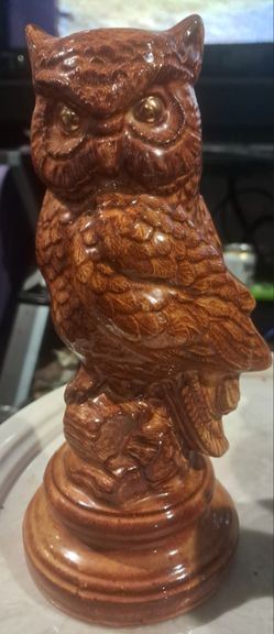 Owl Decor