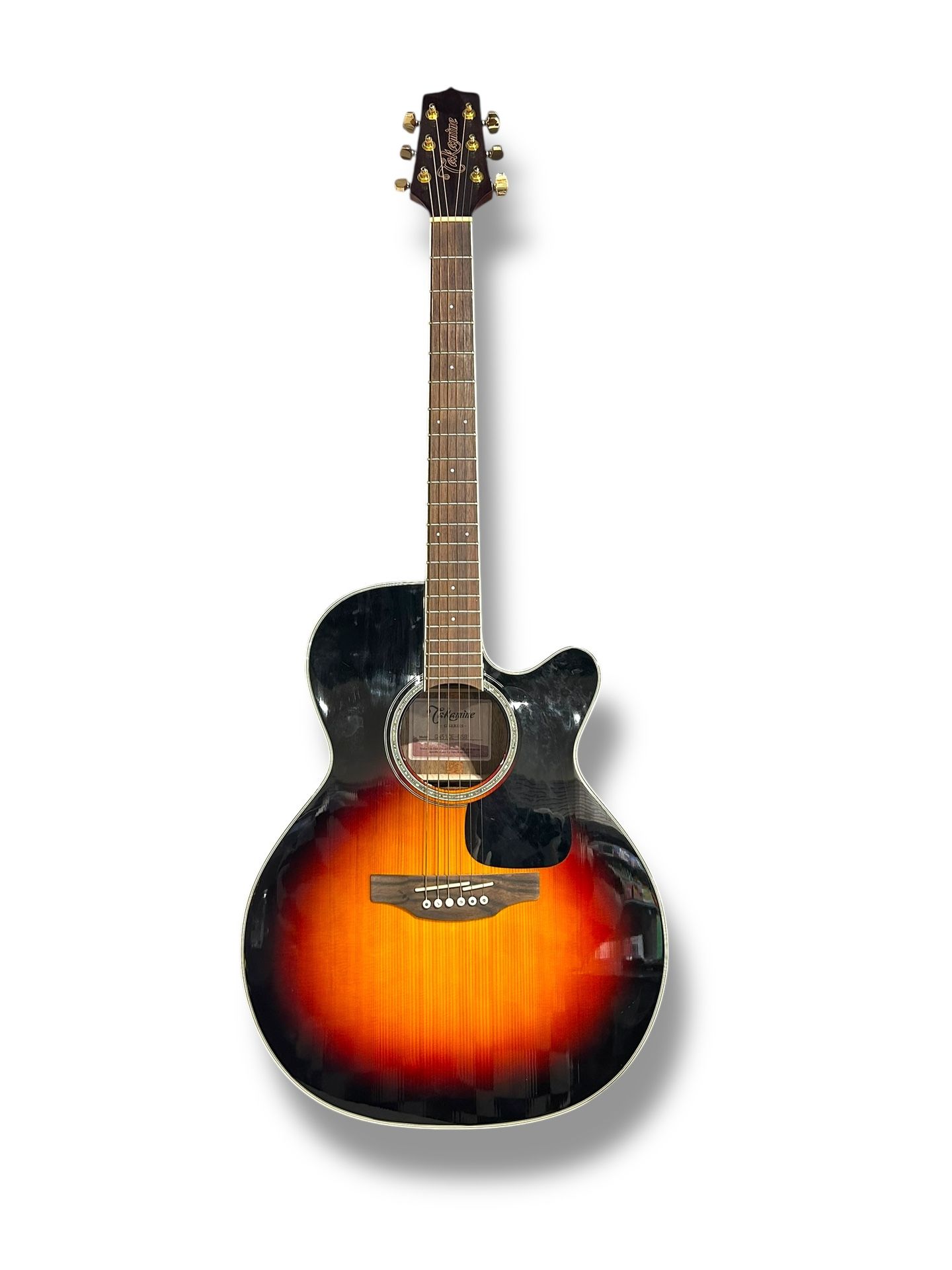 Takamine Electric Acoustic Guitar G Series 