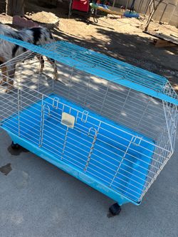Blue Small animal cage
