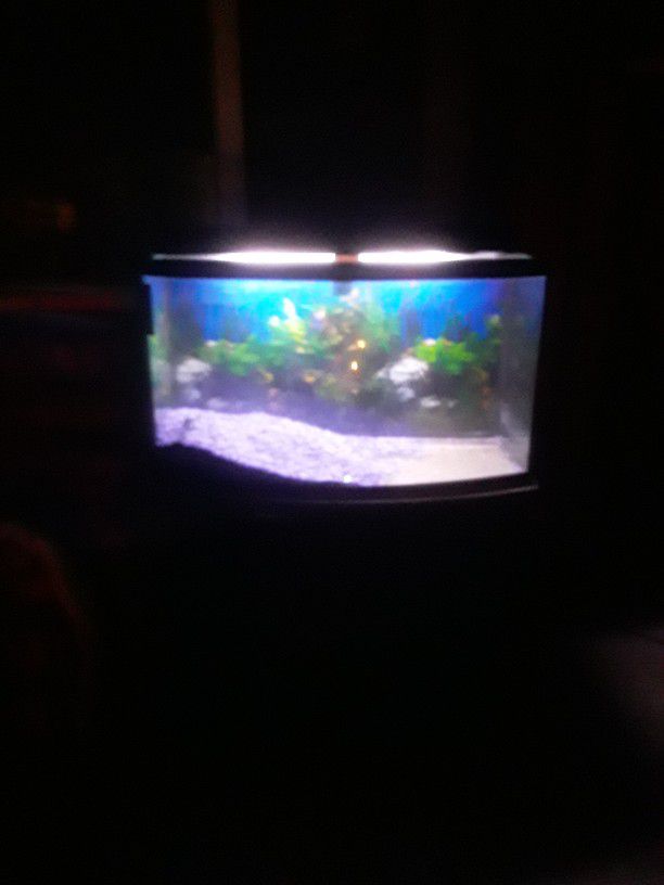 Fish Tank And Stand 7