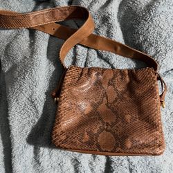Genuine Snakes in Crossbody Bag