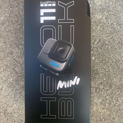 GoPro HERO11 Black Mini Camera