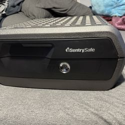 SentrySafe CHW30200 Fire & Water-Resistant Box Safe, Tubular Key Lock, 0.36 cu ft