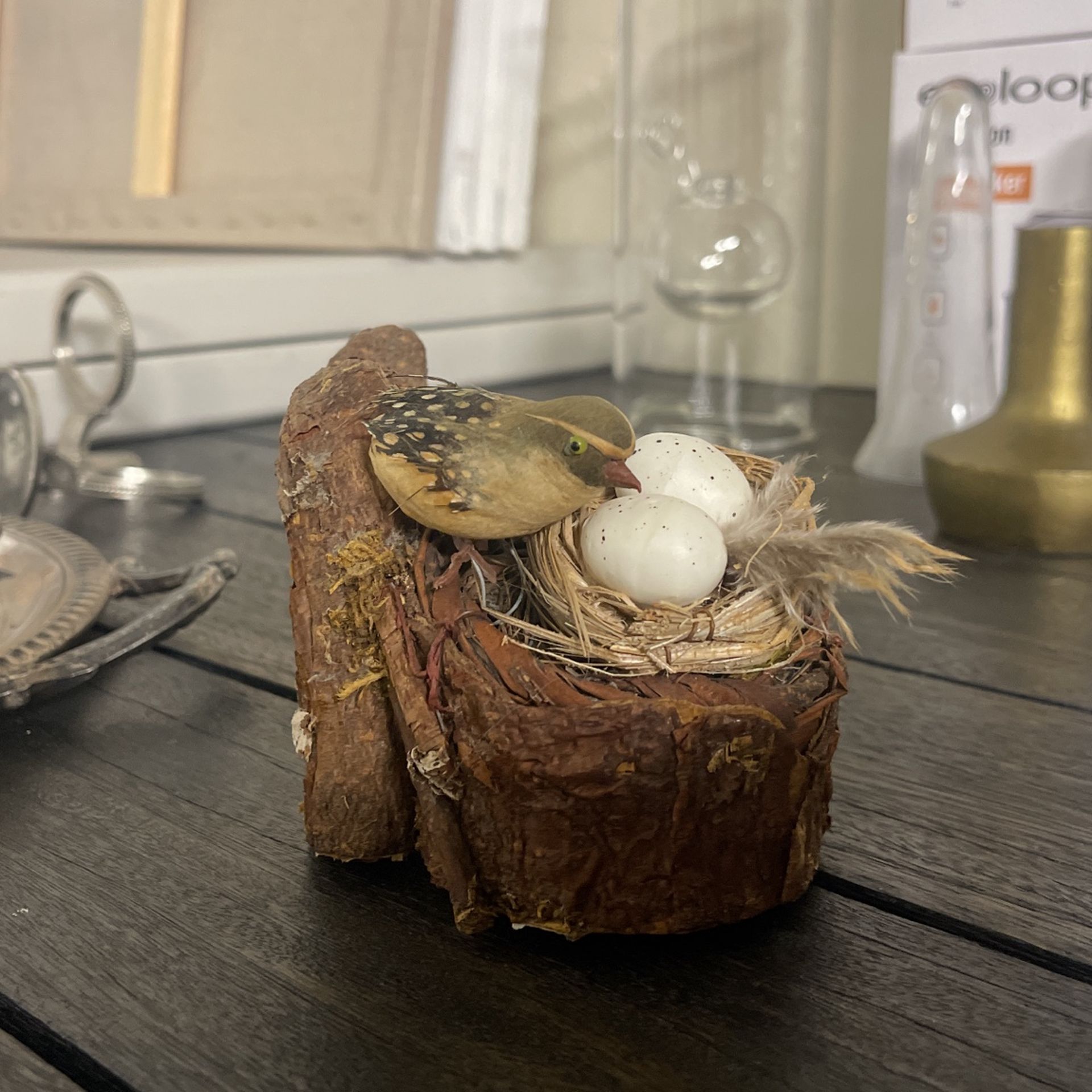 Bird And Eggs 