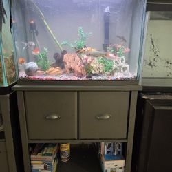 Fish Tank And stand 40 Gallons 