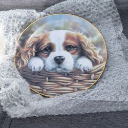 13 Collectible Plates