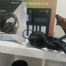 Hd 280 Pro Sennheiser Headphones 