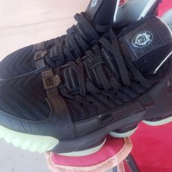 Lebron James shoes
